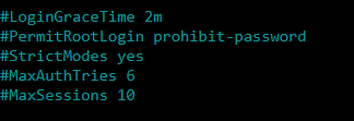 Gambar 8 Konfig Sebelum OpenSSH-Server