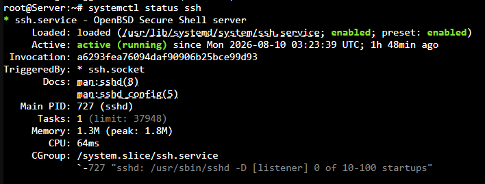 Gambar 6 Status OpenSSH-Server