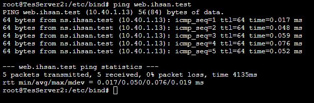 Gambar 19 Ping Domain