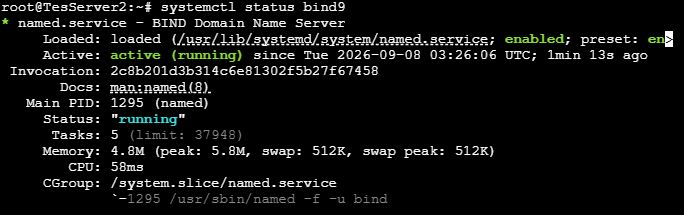Gambar 7 Status BIND9
